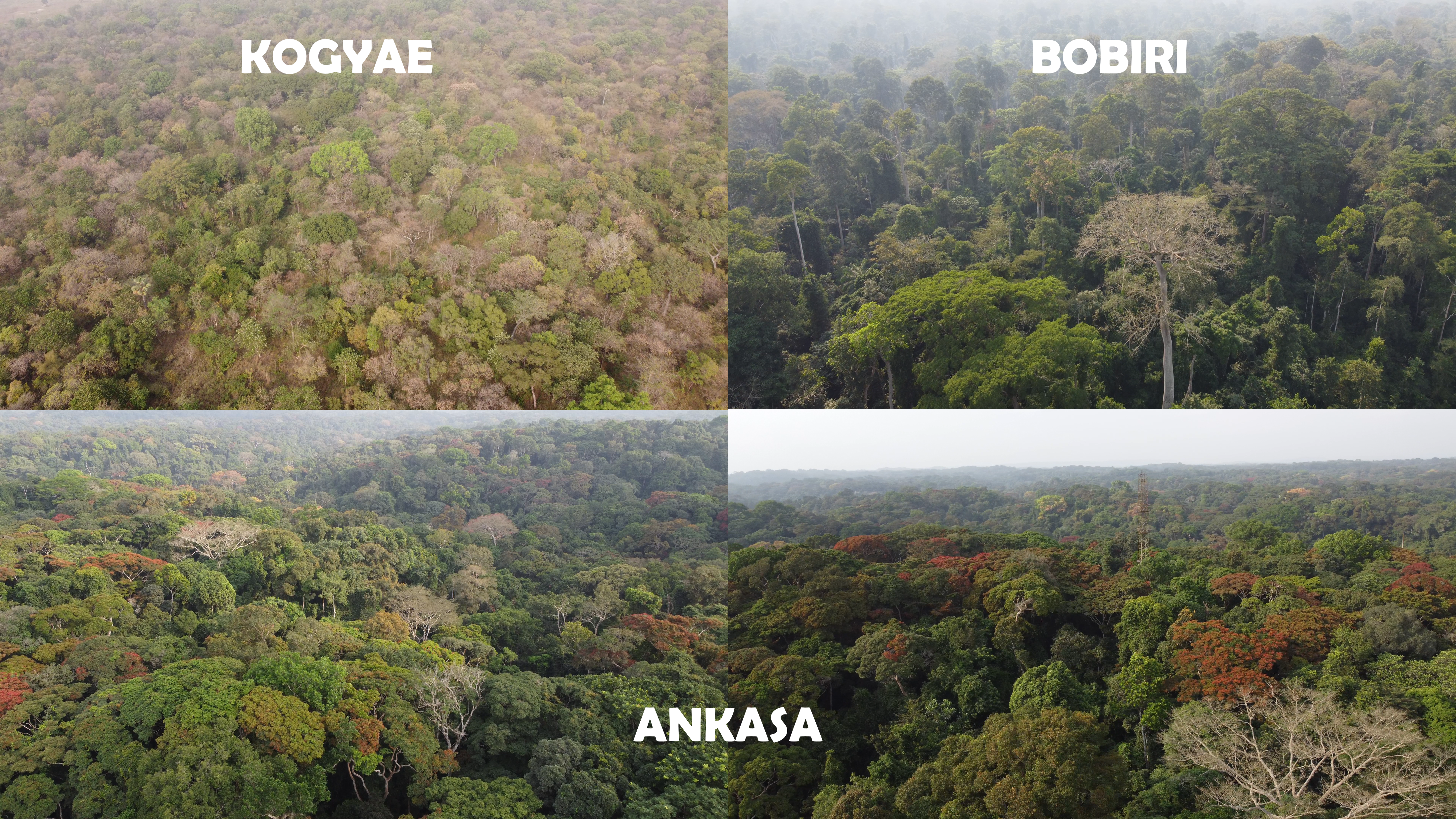field campaign sites in Ghana