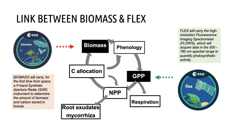 10th Virtual EEBIOMASS Workshop in collaboration with FLEX