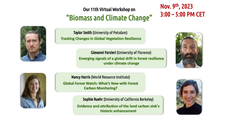 11th Virtual EEBIOMASS Workshop