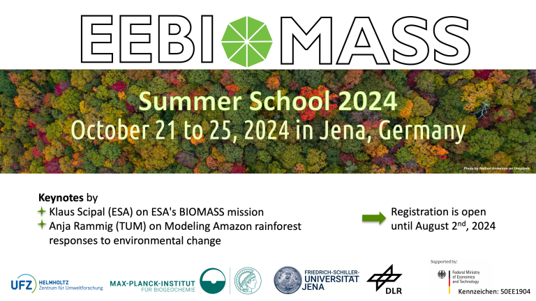 13th Virtual EEBIOMASS Workshop