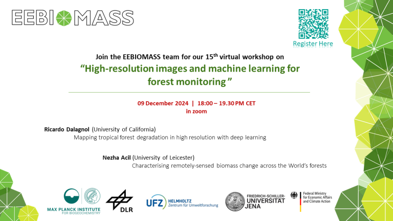 14th Virtual EEBIOMASS Workshop